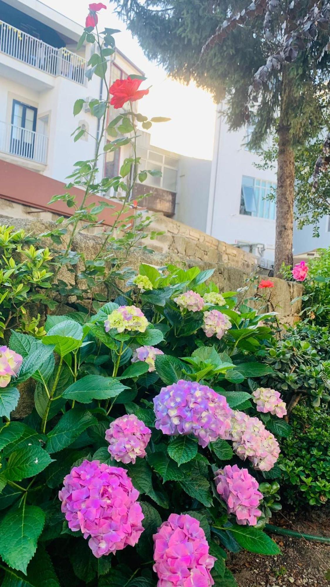 Invicta Porto Guest House — Photos 2